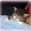 Pia Avatar
