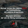Hugo Avatar