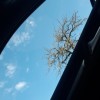 xxxmnxx Avatar