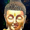 Zicki1 Avatar
