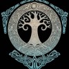 Perplex Avatar