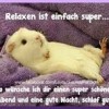 Bernd Avatar