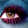 katrin.lang82.kl Avatar