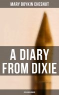 ebook: A Diary From Dixie (Civil War Memoir)