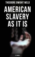 eBook: American Slavery as It is: Testimonies