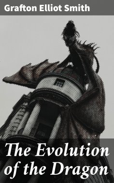 ebook: The Evolution of the Dragon