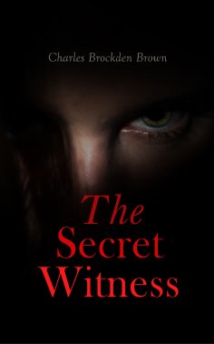 eBook: The Secret Witness