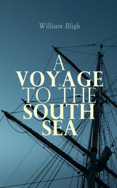 eBook: A Voyage to the South Sea