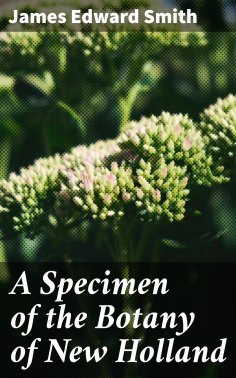 ebook: A Specimen of the Botany of New Holland