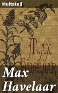 ebook: Max Havelaar