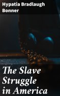 eBook: The Slave Struggle in America