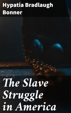 eBook: The Slave Struggle in America