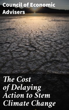 ebook: The Cost of Delaying Action to Stem Climate Change