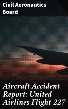 ebook: Aircraft Accident Report: United Airlines Flight 227