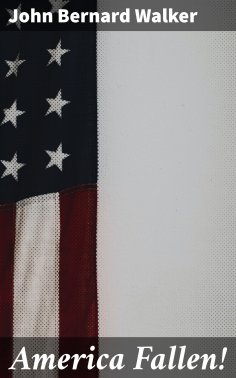 ebook: America Fallen!