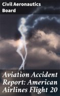 eBook: Aviation Accident Report: American Airlines Flight 20