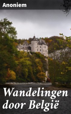 ebook: Wandelingen door België