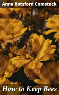 ebook: How to Keep Bees