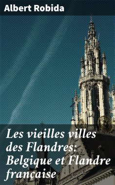 eBook: Les vieilles villes des Flandres: Belgique et Flandre française