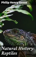 eBook: Natural History: Reptiles
