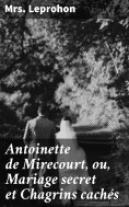 eBook: Antoinette de Mirecourt, ou, Mariage secret et Chagrins cachés
