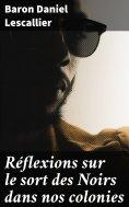 eBook: Réflexions sur le sort des Noirs dans nos colonies