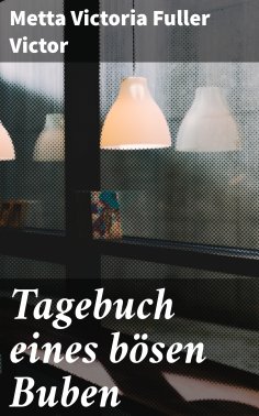eBook: Tagebuch eines bösen Buben