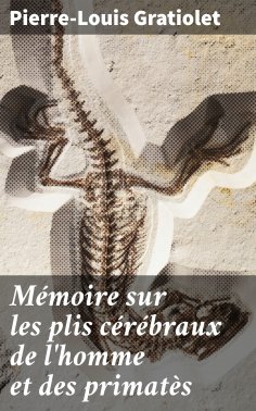 eBook: Mémoire sur les plis cérébraux de l'homme et des primatès