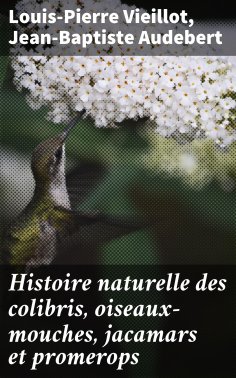 eBook: Histoire naturelle des colibris, oiseaux-mouches, jacamars et promerops
