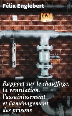 eBook: Rapport sur le chauffage, la ventilation, l'assainissement et l'aménagement des prisons