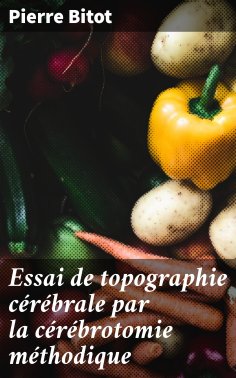 eBook: Essai de topographie cérébrale par la cérébrotomie méthodique