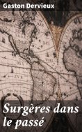 ebook: Surgères dans le passé