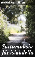 eBook: Sattumuksia Jänislahdella