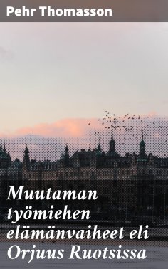 eBook: Muutaman työmiehen elämänvaiheet eli Orjuus Ruotsissa