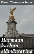 ebook: Harmaan karhun elämäntarina