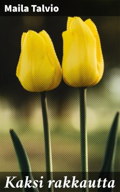 eBook: Kaksi rakkautta