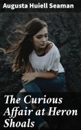 eBook: The Curious Affair at Heron Shoals