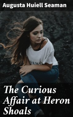 eBook: The Curious Affair at Heron Shoals