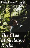 eBook: The Clue at Skeleton Rocks