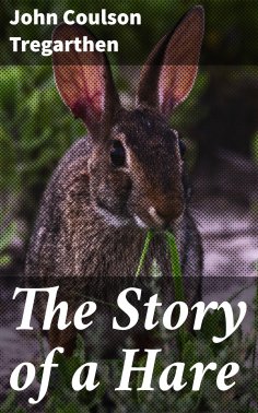 eBook: The Story of a Hare