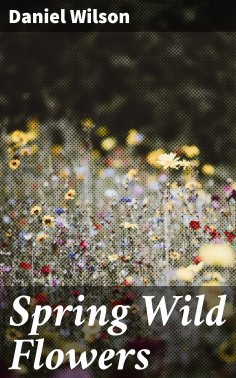 eBook: Spring Wild Flowers