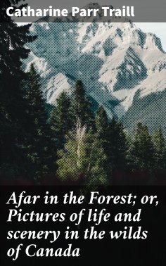 eBook: Afar in the Forest; or, Pictures of life and scenery in the wilds of Canada