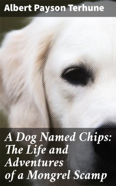 eBook: A Dog Named Chips: The Life and Adventures of a Mongrel Scamp