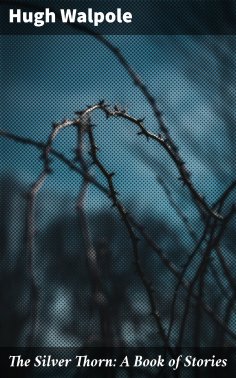 ebook: The Silver Thorn: A Book of Stories