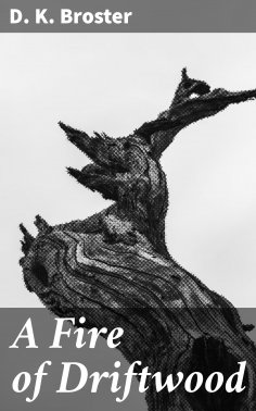 eBook: A Fire of Driftwood