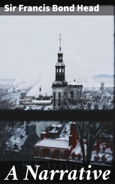 eBook: A Narrative
