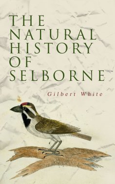 eBook: The Natural History of Selborne