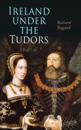 eBook: Ireland under the Tudors (Vol. 1-3)