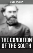 ebook: The Condition of the South