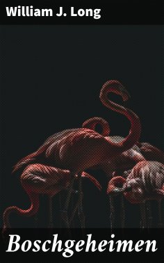 eBook: Boschgeheimen